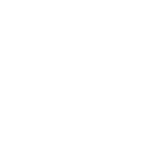 Custom Website Development